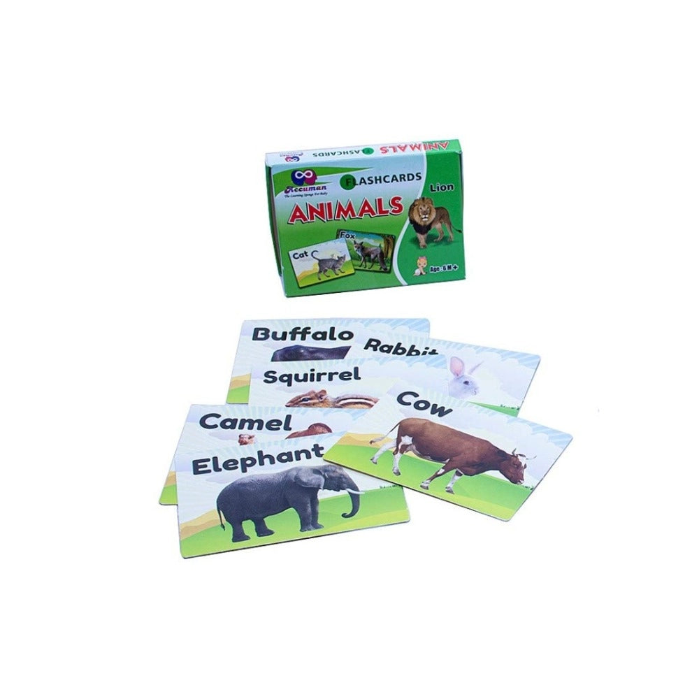 Flash Card-Animal | Plastic | Educational Toys | 6+ Months