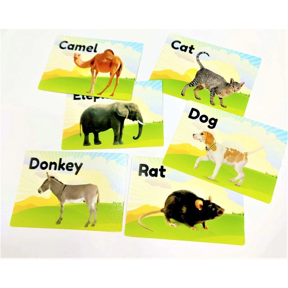 Flash Card-Animal | Plastic | Educational Toys | 6+ Months